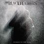 The Black Feathers: Soaked To The Bone, CD