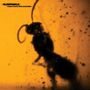 Text oben links: "SLEEPWALK view from the outside". Silhouette einer Ameise, unscharf auf orangefarbenem Hintergrund.