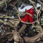 Hannah Frances: Nested In Tangles, CD