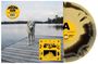 Text: "Jaguar Sun Daisy", "Born Losers Records", "Black & Yellow Swirl Vinyl". Ein Hund steht auf einem Steg am See.