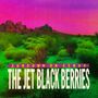 Der Text lautet: „Sundown on Venus, The Jet Black Berries“. Eine farbige Landschaft mit grüner Vegetation und rosa Himmel.