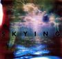 The Horrors: Skying (Special Limited Edition), CD,CD