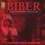 Heinrich Ignaz Biber: Rosenkranz-(Mysterien-)Sonaten Nr.1-16, CD,CD