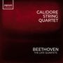 Ludwig van Beethoven: Streichquartette Vol.1 - The Late Quartets, CD,CD,CD