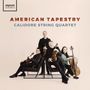 „AMERICAN TAPESTRY“ und „CALIDORE STRING QUARTET“. Vier Personen mit Streichinstrumenten, freundlich posierend.