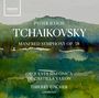 "Pyotr Ilyich Tchaikovsky, Manfred Symphony Op. 58" steht in Weiß. Darunter aquarellartige Landschaft in Grüntönen.