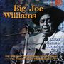Big Joe Williams (Guitar / Blues): Baby Please Don't Go, CD