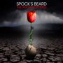 Spock's Beard: The Archaeoptimist, CD
