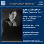 : Vladimir Horowitz - The First Recordings, CD