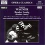Siegfried Wagner (1869-1930): Bruder Lustig, CD