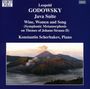 Leopold Godowsky: Klavierwerke Vol.8, CD