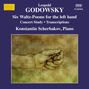 Leopold Godowsky: Klavierwerke Vol.12, CD