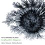 Peter Navarro-Alonso: Concerto grosso "Le Quattro Stagioni", CD