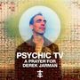 Psychic TV: A Prayer for Derek Jarman, CD