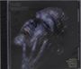 Alanis Morissette: Such Pretty Forks In The Road, CD