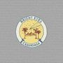 Bright Eyes: Cassadaga (remastered), LP
