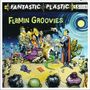 The Flamin' Groovies: Fantastic Plastic, CD