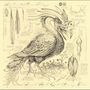 Sarah Belle Reid & Vinny Golia: Accidental Ornithology, CD