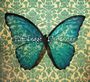 Kim Beggs: Blue Bones, CD