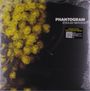 „PHANTOGRAM EYELID MOVIES“ mit gelbem Blumenmuster auf dunklem Hintergrund, Sticker: „CLEAR VINYL with YELLOW SWIRL“.