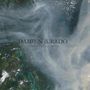 Damien Jurado: Caught In The Trees, LP