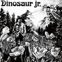 Dinosaur Jr.: Dinosaur Jr., LP