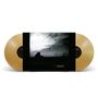 "Envy: Innocence Dead" steht auf einem Schallplattencover. Zwei goldene Vinyls flankieren ein schwarz-weißes Landschaftsfoto.