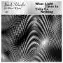 Janek Schaefer: What Light There Is Tells Us Nothing, LP