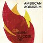 American Aquarium: Burn.Flicker.Die., LP,LP