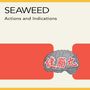 Seaweed: Action And Indications, LP