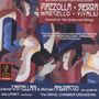 : Castellani-Andriaccio Guitar Duo - Konzerte für 2 Gitarren & Streicher, CD