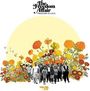 The Freedom Affair: Freedom Is Love, LP