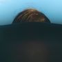 Kein Text. Man sieht den oberen Teil eines Kopfes mit braunem Haar über einer dunklen Oberfläche, vor einem blauen Hintergrund.