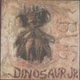 Dinosaur Jr.: Bug, CD