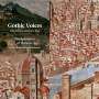 : Gothic Voices - The Splendour of Florence, CD