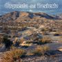 Orquesta Del Desierto: Orquesta Del Desierto, CD