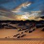 Perry Robinson & Burton Greene: Two Voices In The Desert, CD
