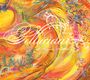 John Zorn: Pellucidar / A Dreamers Fantabul, CD