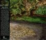 Titel: John Zorn - "Her Mysterious Lax". Beschreibung über musikalische Zusammenarbeit. Links Waldszene mit Grün und Wasser.