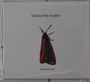 Follow The Moths: Specimen EP, CD