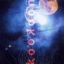 Kookoon: Magnetic Moon, CD