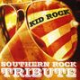 Tribute Players: Kid Rock Southern Rock, CD