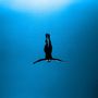 Eine Silhouette eines Schwimmers mit ausgestreckten Armen im tiefblauen Wasser.