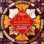 Johann Sebastian Bach: Orgelwerke Vol.7, CD,CD