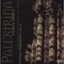 Giovanni Pierluigi da Palestrina: Messe & Motette "Pater Noster", CD
