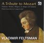 : Vladimir Feltsman - A Tribute to Mozart, CD,CD