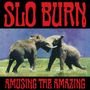 Slo Burn: Amusing The Amazing (Limited Indie Edition) (RSD 2025), MAX
