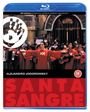Alejandro Jodorowsky: Santa Sangre (1989) (Blu-ray) (UK Import), BR
