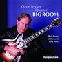 Dave Stryker: Big Room, CD