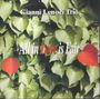 Gianni Lenoci (1963-2019): All In Love Is Fair, CD